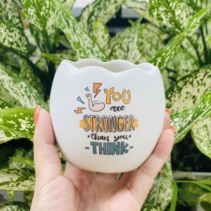 Chậu Trồng Cây Bằng Sứ Kèm Dĩa Thích Hợp Trồng Cây Sen Đá Xương Rồng Cây Cảnh Mini Để Bàn In Chữ Nội Dung Theo Yêu Cầu
