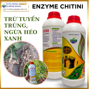 Ung Trứng Tuyến Trùng Phục Hồi Bứu Rễ  Ngăn Vàng Lá Héo Xanh ENZYME CHITIN - 1  Lít