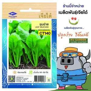 CHIATAI 🇹🇭 ผักซอง เจียไต๋ O140#ชุนฉ่าย ซองประมาณ 4400 เมล็ด เมล็ดพันธุ์ผัก เมล็ดผัก เมล็ดพืช ผักสวนครัว
