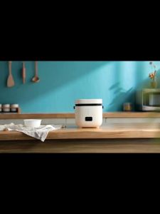 MINI RICE COOKER VIRAL