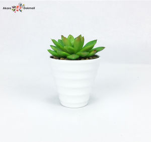 แคคตัสปลอมพร้อมกระถาง กระถางแคคตัส ต้นไม้ปลอมมินิมอล