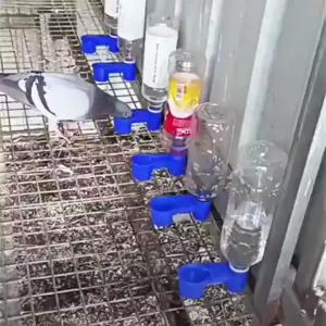 Bird Waterer Bottle/Automatic Drinking Cup/Pet Bird Plastic Water Drinker Cup Feeder Drinking Bowl