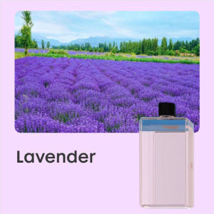 Automatic Aroma Diffuser Aroma Diffuser Air Freshener Rechargeable Humidifier Essential Oil
