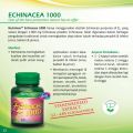 NUTRIMAX ECHINACEA 30'S UNTUK KEKEBALAN TUBUH. 