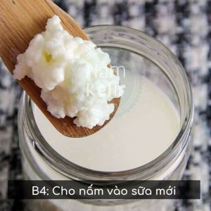 combo( nấm sữa kefir+rây lọc bằng nhựa+ muỗng gỗ/sứ/nhựa)