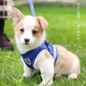 Christmas Gift Halloween Miniso Kawaii Reflective Luminous Harness Hello Kitty Cartoon Pet Leash Kuromi Cute Prevent Breaking Away Vest Fashion New Style