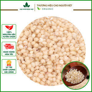 Y dĩ khô 500g hạt bobo nếp nguyên liệu hầm gà nấu cháo chè trà lợi sữa sau sinh