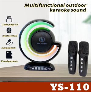 YS-110 Portable Wireless Karaoke Dynamic Light Show Bluetooth Professional Hi-Fi Speaker with Dual Microphone