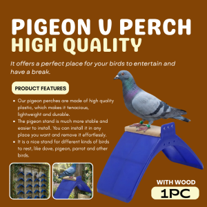 Pigeon V Perch Stand Frame Bird Resting Perch for Cage with Wood