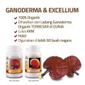 GANODERMA EXCELLIUM (30/90 caps) gano excel original. 