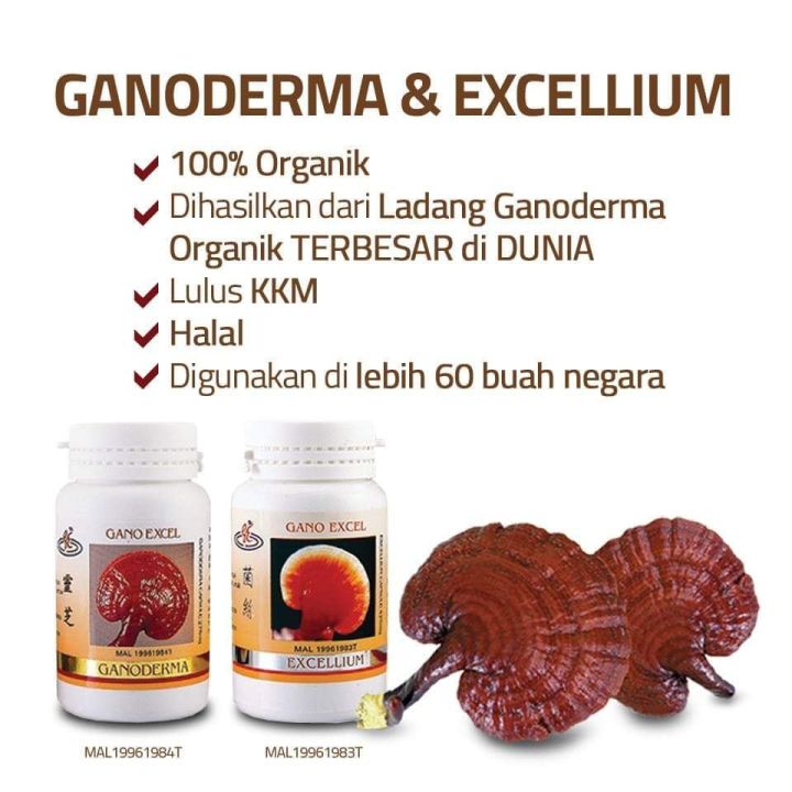 GANODERMA%20EXCELLIUM%20(30/90%20caps)%20gano%20excel%20original%20-%20Image%205