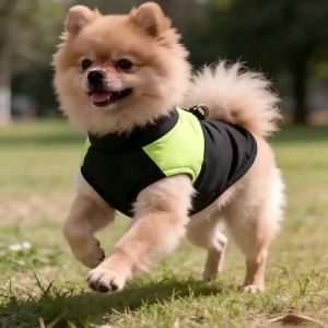 Winter Dog Warm Ski Suit Windproof Jacket Thickened PaddedClothes