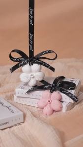 Solid Gypsum Scent Hanging Cherry Blossom Air Freshener Pack Long Last 90-120 Days Westin White Tea & Bluebell
