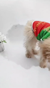 Machine Washable Dog Clothing Durability Pet Garment Puppies Outdoor Apparel for Christmas Party