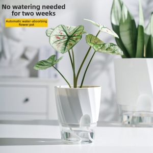MIRELAE White Self Watering Planter Fully Transparent Clear Design Automatic Watering Pot Automatic Self-Watering Clear Watering Pot Indoor Plants