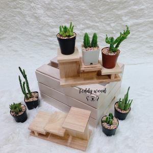 ชั้นวางต้นไม้ art toy ชั้นวางขนาดเล็ก ทรงT