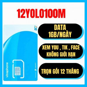 ( 1 TỶ GB ) Sim 5G Vinaphone 12YOLO100M - 30GB/Tháng + Miễn Phí Truy Cập Mạng Xã Hội - Trọn Gói 12 Tháng - Phù Hợp Lắp Trên Xe Ô Tô - FREESHIP - CHƯA KÍCH HOẠT