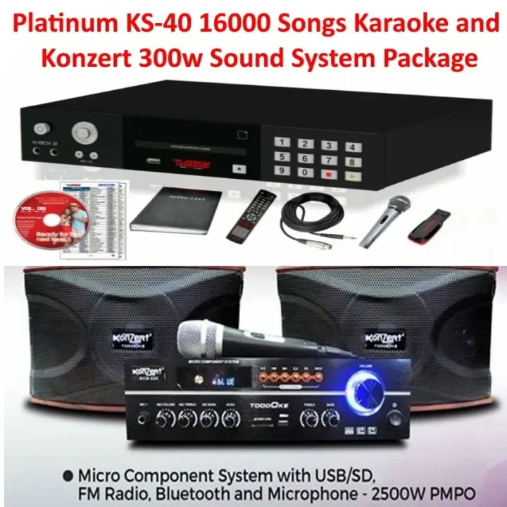 Platinum karaoke with speaker sales price