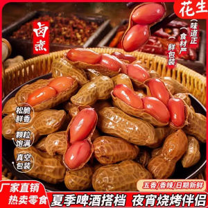 Five Spices / Spicy Braised Peanut Snack Spicy Peanuts Nuts Snacks