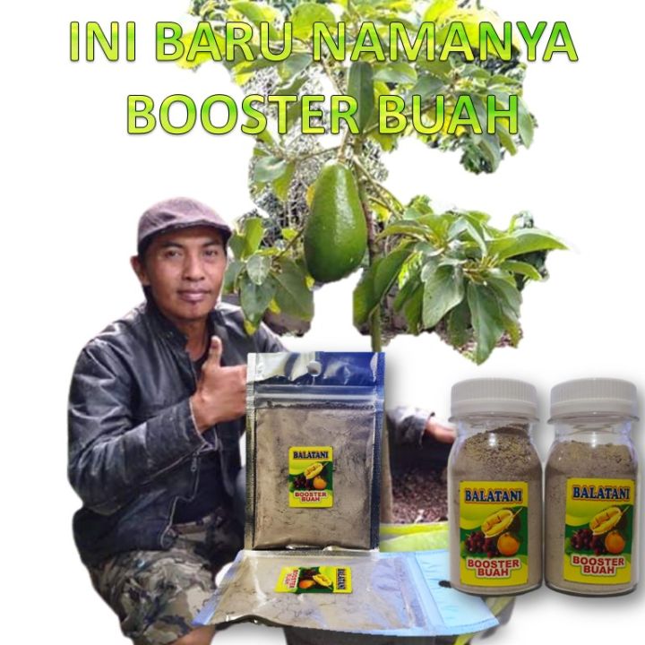 BOOSTER BUAH / PUPUK PELEBAT BUAH & PERANGSANG PERTUMBUHAN ANTI RONTOK ...