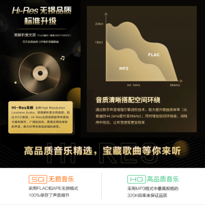 定制款式 Customized USB MUSIC 可询问定制音乐歌曲 16GB