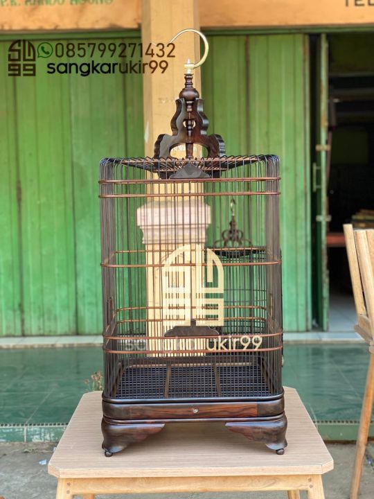 Qiz dosti bilan yigitini aldadi (yashirin kamera) Eng chiroyli mushuk soch turmagi (fotosuratlar)