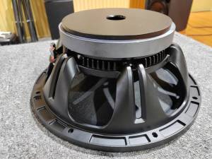Professional speakers  8 ohms 800 watts 12 inch