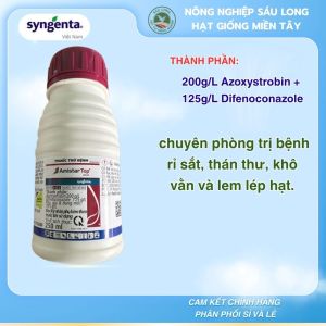 Chai 250ml Amistar Top 325SC chuyên phòng trị bệnh rỉ sắt thán thư khô vằn và lem lép hạt do Syngenta sản xuất.