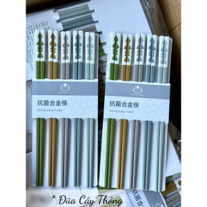 Đũa Cây Thông Vỉ 5 Đôi Chống Ẩm Mốc Kháng Khuẩn Đũa Ăn Nhựa Chống Trượt Chịu Nhiệt Tốt Loại 1