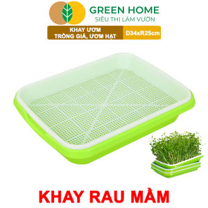 Khay Trồng Rau Greenhome D34xR25xC5cm Nhựa Nguyên Sinh An Toàn Chuyên Trồng Giá Rau Mầm Tại Nhà Không Cần Đất