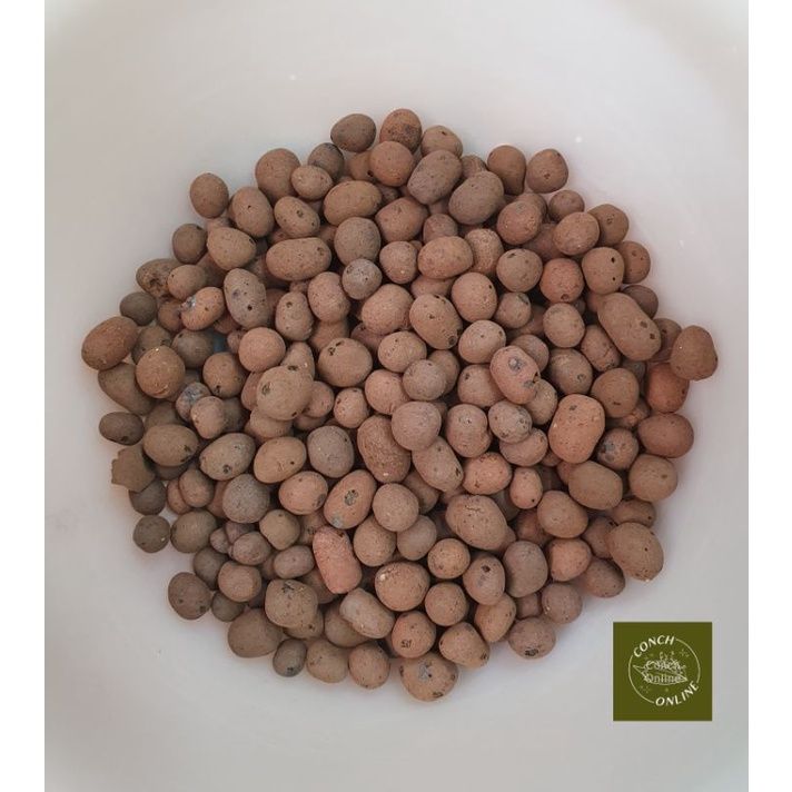 COD Hydroton Clay Pebbles High Quality LECA Hydroponics Aquaponics ...