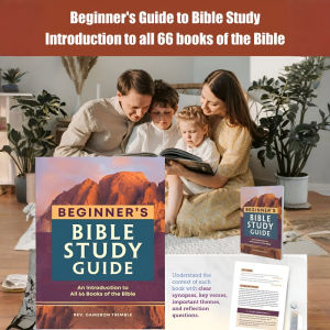 Beginners Bible Study Guide - Introduction To All 66 Books Of The Bible Bible Summary Guide Study Planner Ideal Gift