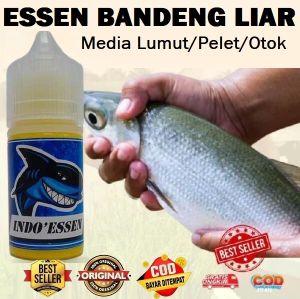 Essen Ikan Bandeng Liar Tambak Media Lumut/Pelet/Otok Isi 30ml