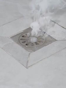 地漏Floor drain 厕所 地漏 防臭器 卫生间 下水管道 排水口 过滤网 防臭盖 密封内芯通用型。。。