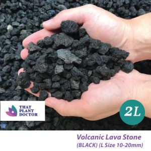 Volcanic Lava Stone L Size Volcano Rock/Lava Stone) Suitable for Aquarium Aquascape Terrariumetc (2L BLACK 10-20 mm)