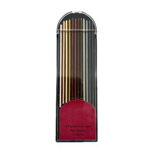 Automatic Pencils Drawing Pencils 2.0mm Mechanical Pencils Set with 12 Leads Refills Sketching Pencils Easy to Use