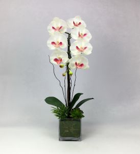 แจกันดอกไม้ประดิษฐ์แต่งบ้าน ดอกกล้วยไม้ประดิษฐ์สีขาวพร้อมกระถางแก้ว