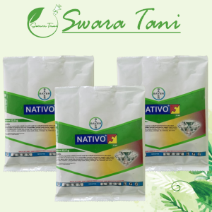 Fungisida Nativo 75WG 12.5gr 50gr Trifloksistrobin Tebukonazol Pengendali Jamur Pada Tanaman