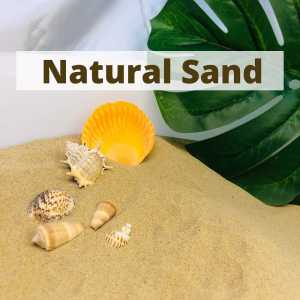 100% Natural Sand Beach Pure Sand Pasir Sensory School Activity Play Sand Fine Coarse Sand Pasir Mainan Play sand Natural Sand Dynamic sand Non Toxic Sand Beach Fun Pantai Pasir