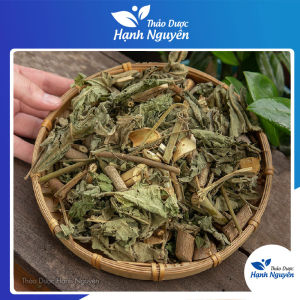 Cây an xoa 1kg an xoa tím rất tốt cho gan giúp hạ men gan cải thiện sức khỏe