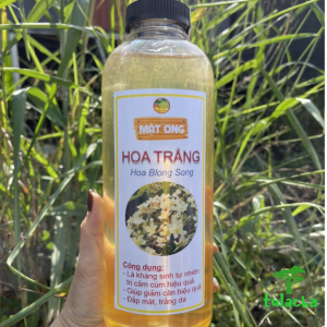 Mật ong Hoa Trắng nguyên chất 1 lít (hoa Blong Song) Mù Cang Chải - Yên Bái