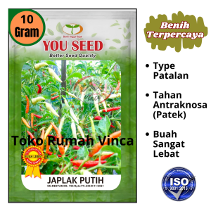 Benih bibit  Cabe Rawit Setan Type Patalan JAPLAK PUTIH 10g dari You seed