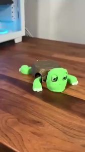 Funny Turtle Coaster Set - Press to Pop Eyes Design Unique and Playful Cup Holder for Home or Office Use SeaSpark