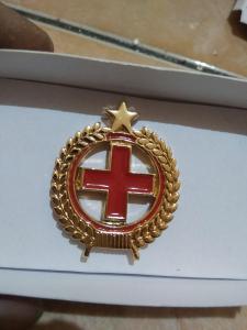 brevet wing pdh perawat