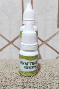 GRAFTING GROW GRAFTING SERUM OBAT OKULASI SAMBUNG PUCUK SAMBUNG TUNAS