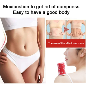 Small moxa rotating micro smoke box with daily replaceable tube