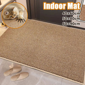 Entry Door Foot Mat Indoor Mat Non-Slip Rug Scraping Mud Wear-resistant Washable Indoor Outdoor Cat Scratcher Mat