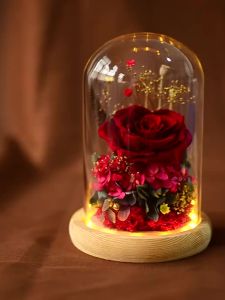 FCSeangel Womens Day gift Preserved Fresh Flower Dried flower Beauty and The Beast Fresh Red Eternal Roses In A Glass Dome For Valentines Day Gifts Christmas Goddess Day Girlfriend gift Home Decor Ornaments