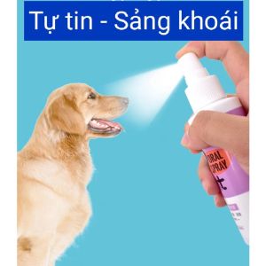 XỊt thơm miệng thảo mộc cho chó mèo Dorrikey - khử mùi sạch cao răng khử khuẩn kháng viêm