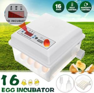 220V Eggs Incubator 16 Eggs Incubator Poultry Incubator Brooder Digital Temperature Hatchery Egg Incubator Hatcher Chicken Duck Goose Pigeon Peacock